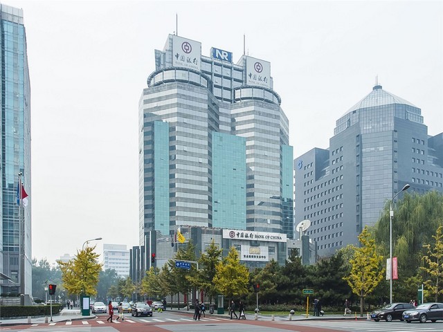 深圳宝安西乡单体鹌鹑蛋托价钱